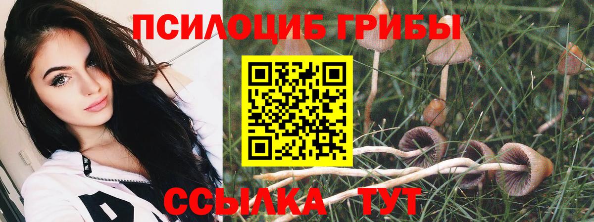 Миллерово  Псилоцибиновые грибы ЛСД  купить закладку  Вход с VPN 