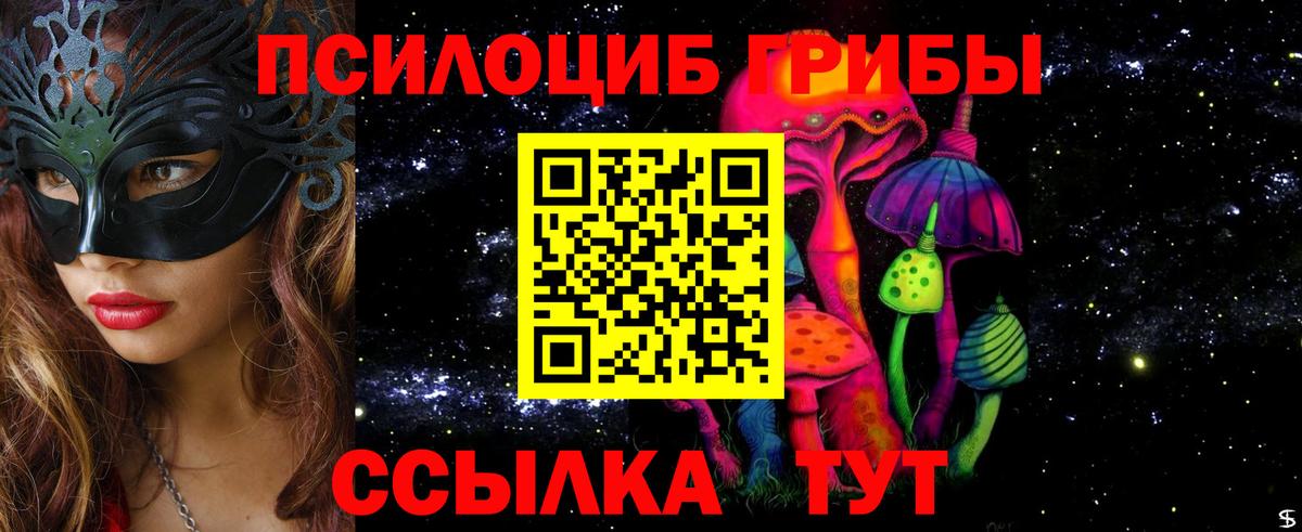 Галлюциногенные грибы Cubensis Миллерово